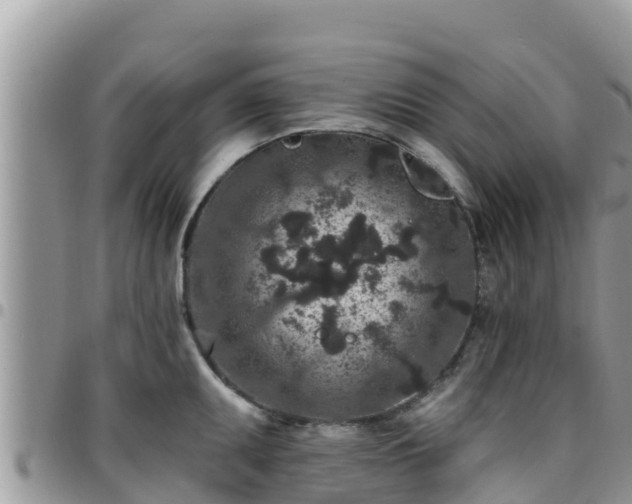 X0000095921095200801181412