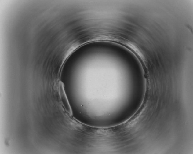 X0000095921097200801181412