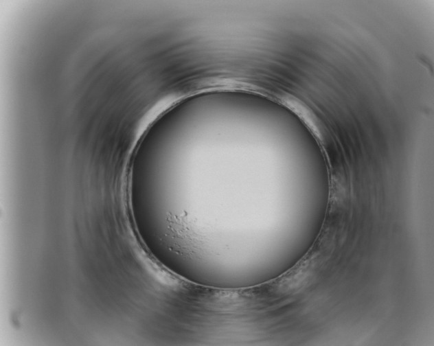 X0000095921098200801181412