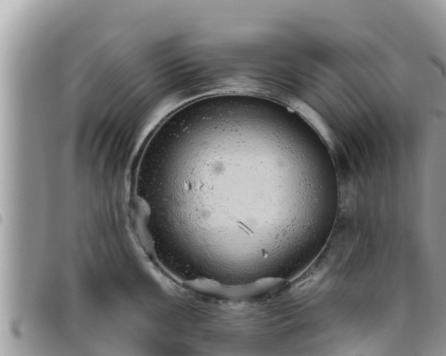 X0000095921099200801181412