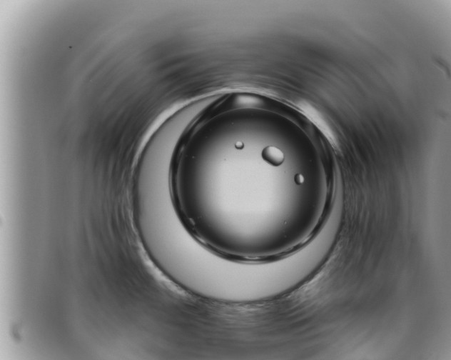 X0000095921100200801181412