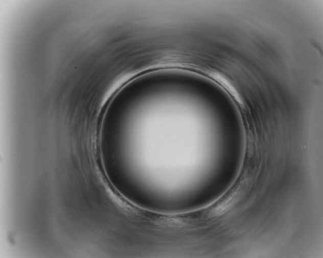 X0000095921101200801181412