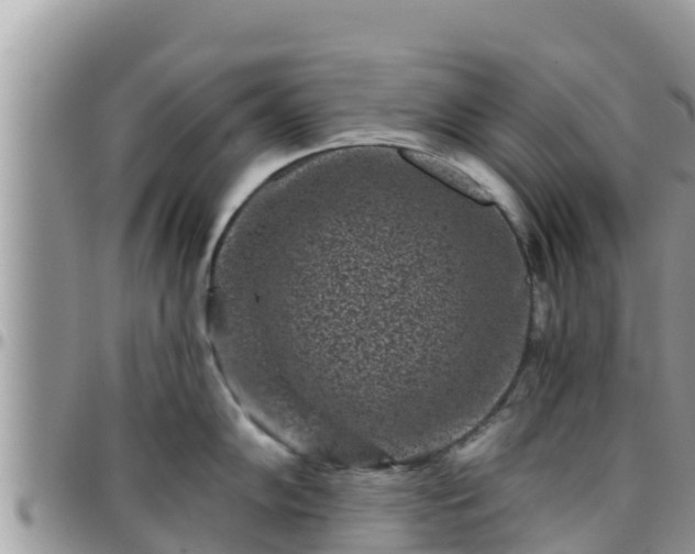 X0000095921102200801181412