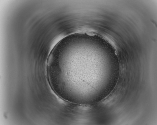 X0000095921103200801181412