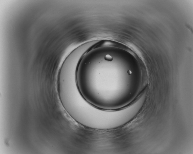 X0000095921104200801181412