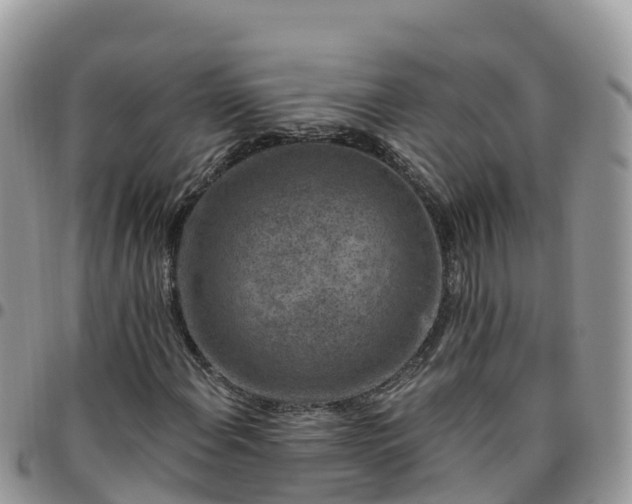 X0000095921108200801181411