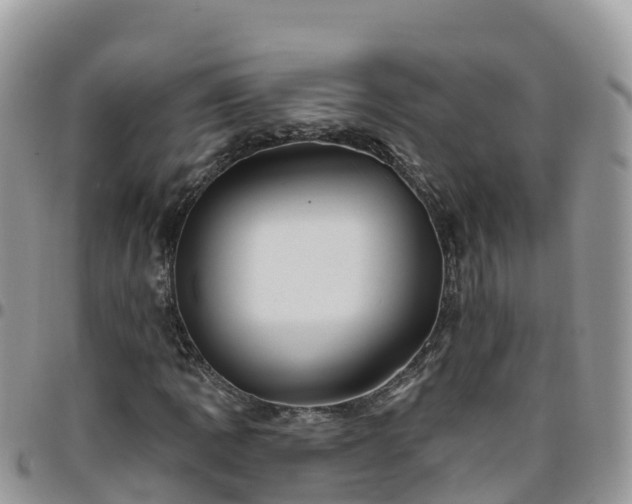 X0000095921109200801181411