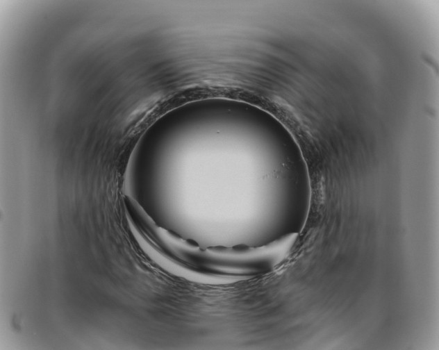 X0000095921110200801181411