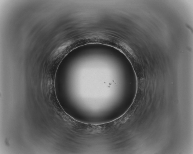 X0000095921111200801181411