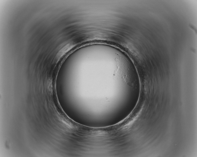 X0000095921113200801181411