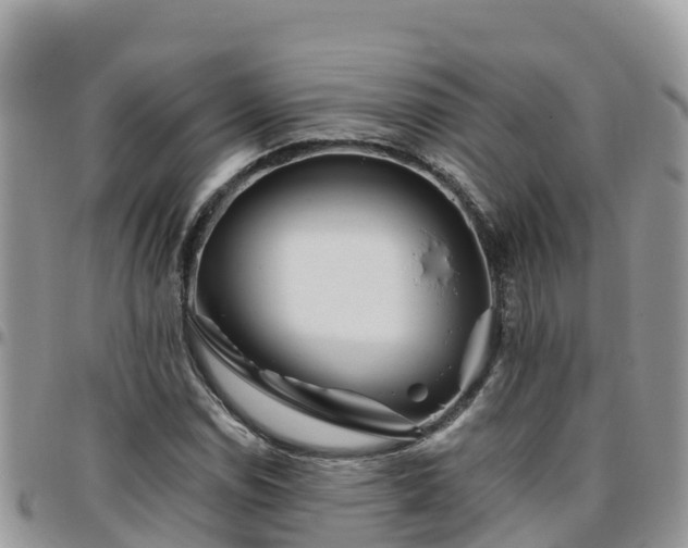 X0000095921114200801181411