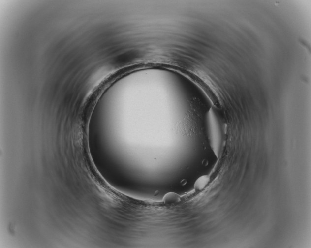 X0000095921115200801181411