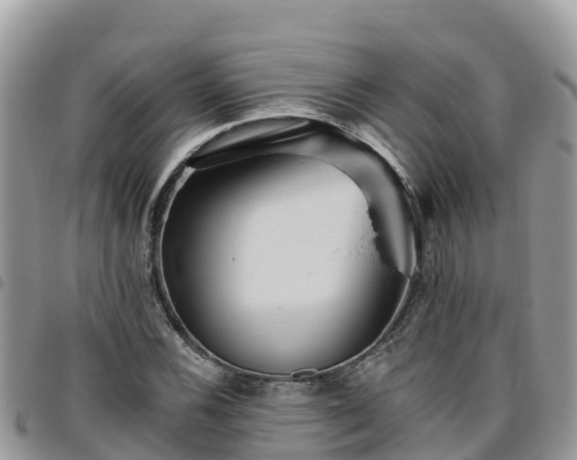 X0000095921116200801181411