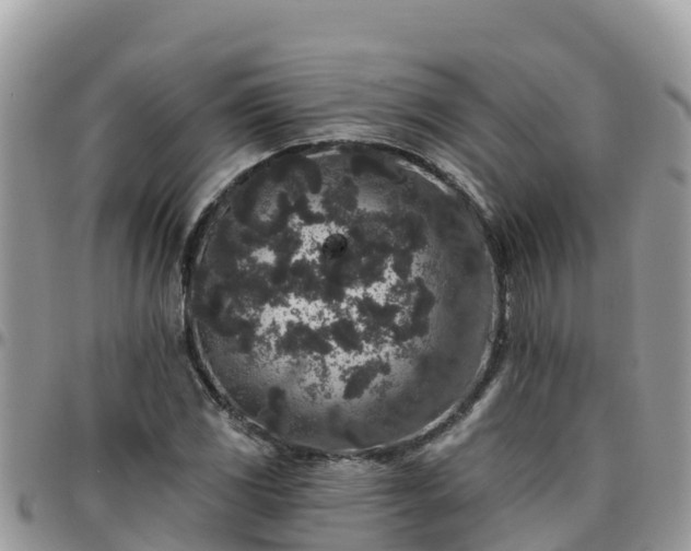 X0000095921117200801181411