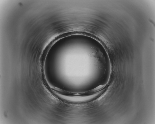 X0000095921118200801181411