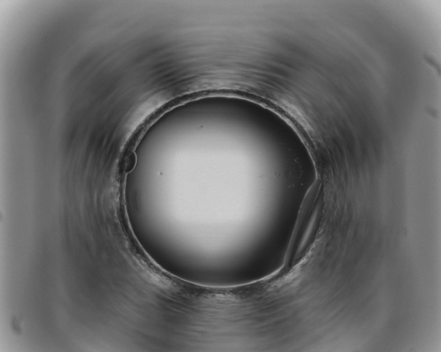 X0000095921119200801181411