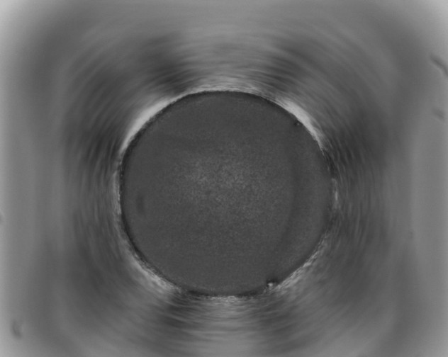 X0000095921120200801181411