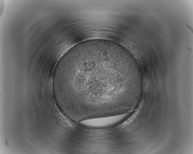 X0000095921121200801181411