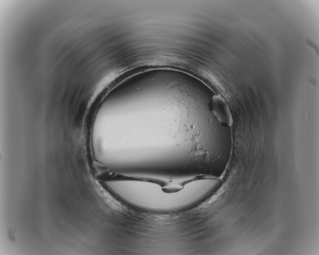 X0000095921122200801181412