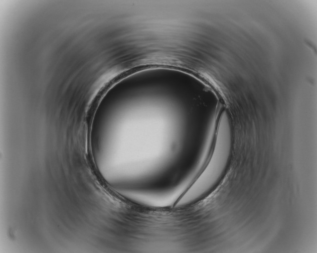 X0000095921123200801181412