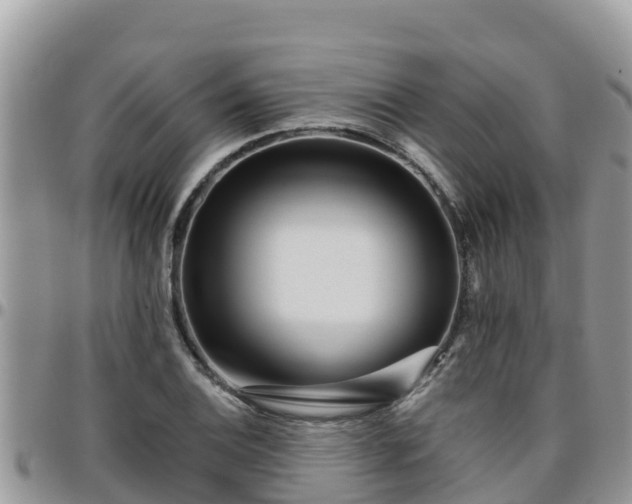 X0000095921124200801181412