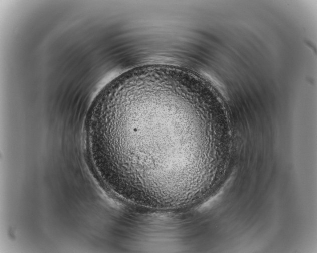 X0000095921125200801181412