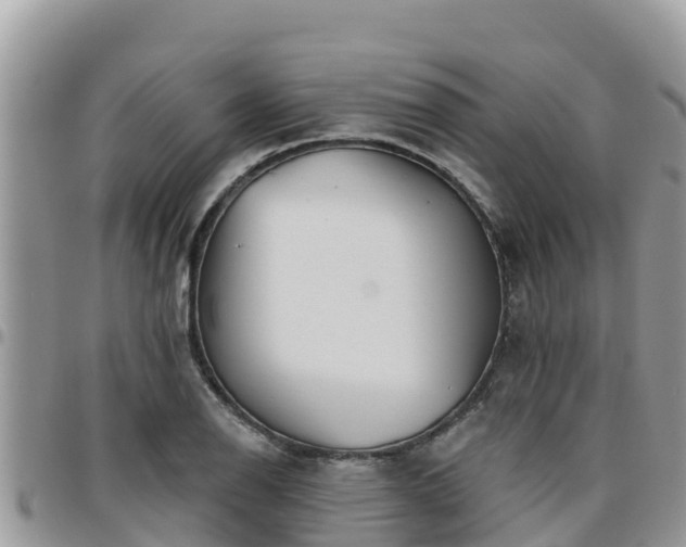 X0000095921126200801181412