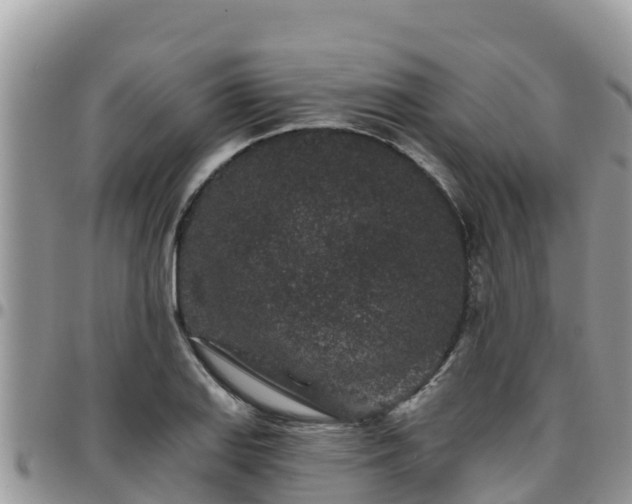 X0000095921127200801181412