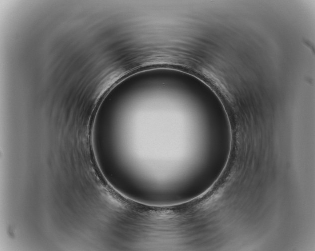 X0000095921129200801181412