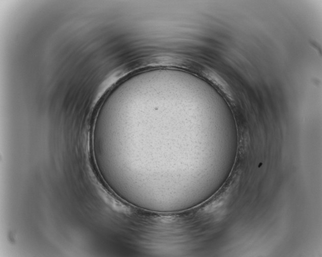 X0000095921130200801181412