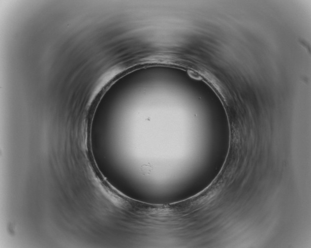 X0000095921131200801181412