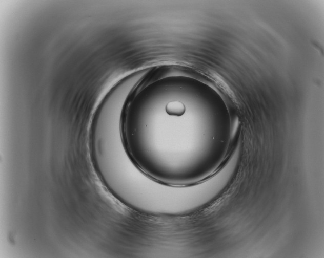 X0000095921132200801181412