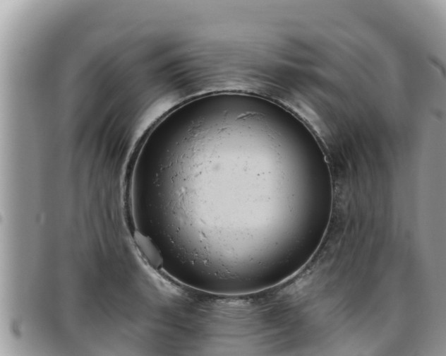 X0000095921135200801181412