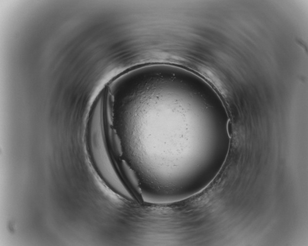 X0000095921136200801181412