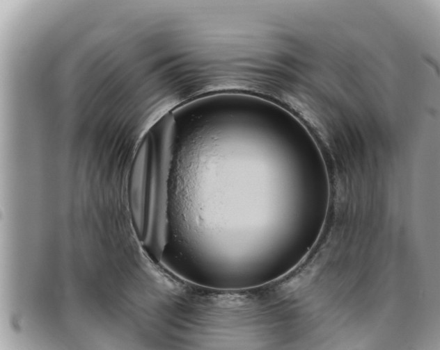 X0000095921137200801181412