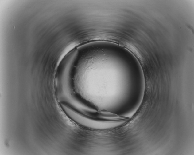 X0000095921138200801181412