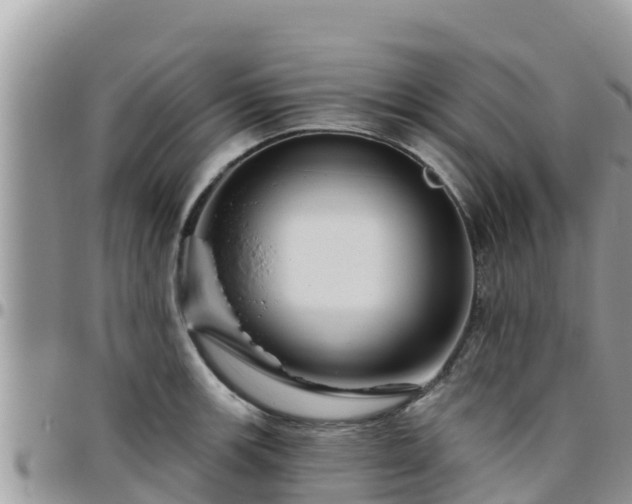 X0000095921139200801181412