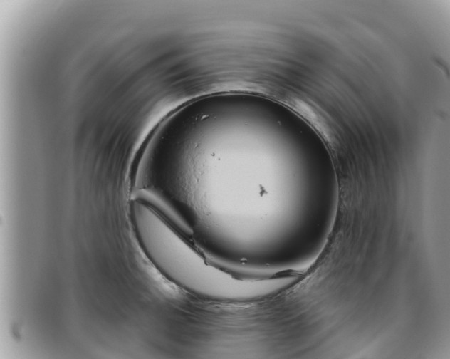 X0000095921140200801181412