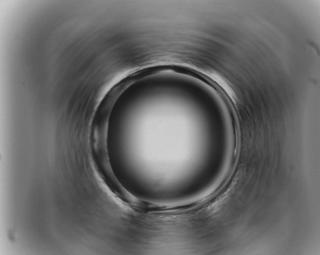 X0000095921142200801181412