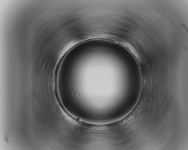 X0000095921143200801181412