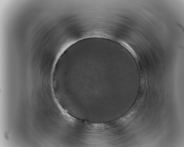 X0000095921144200801181412