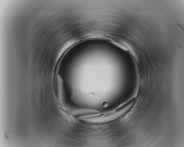 X0000095921146200801181412