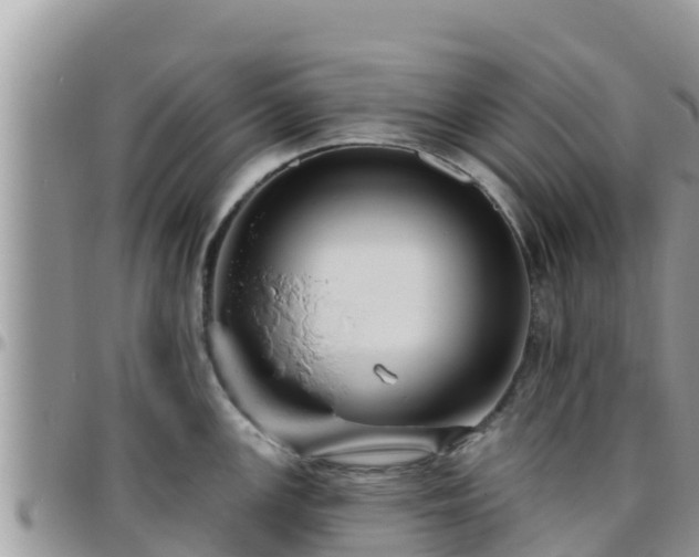 X0000095921147200801181412