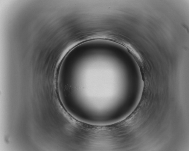 X0000095921148200801181412