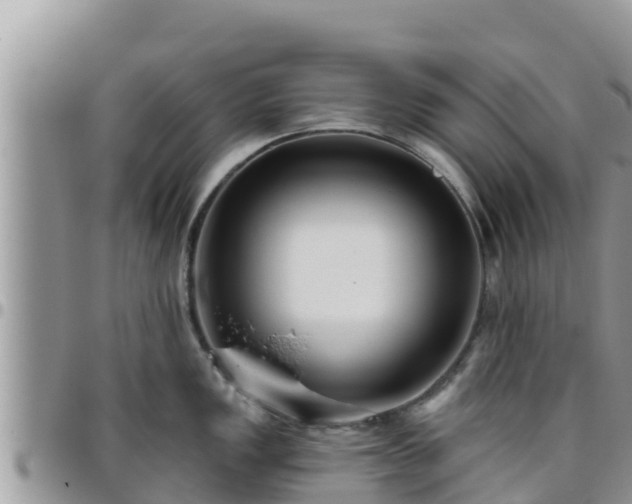 X0000095921149200801181412