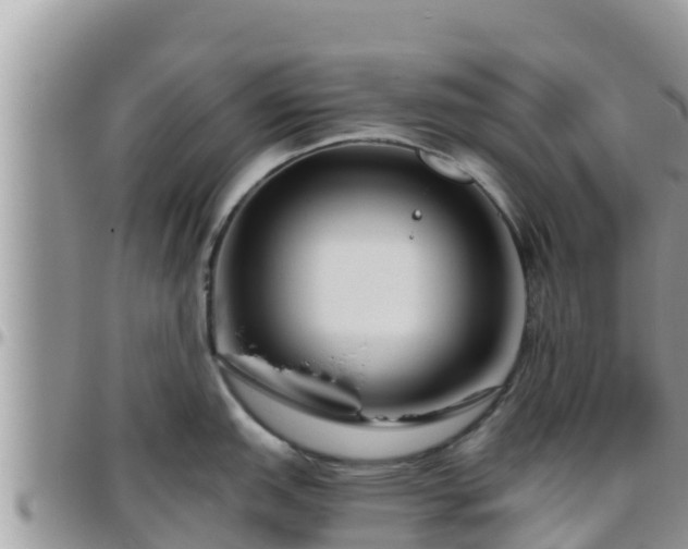 X0000095921151200801181412