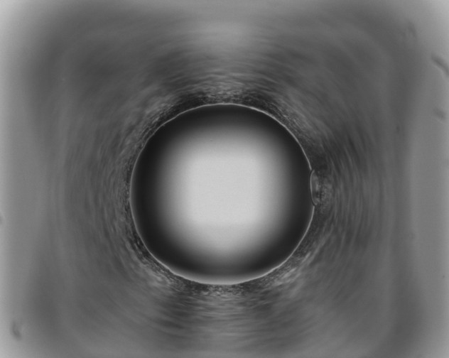 X0000095921153200801181411