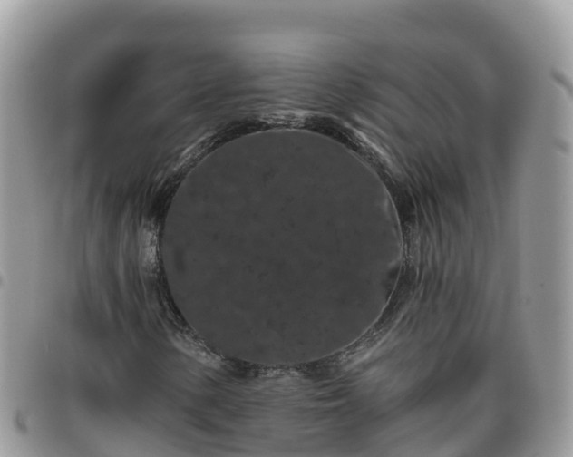 X0000095921154200801181411