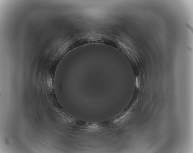 X0000095921155200801181411