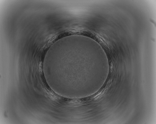 X0000095921156200801181411